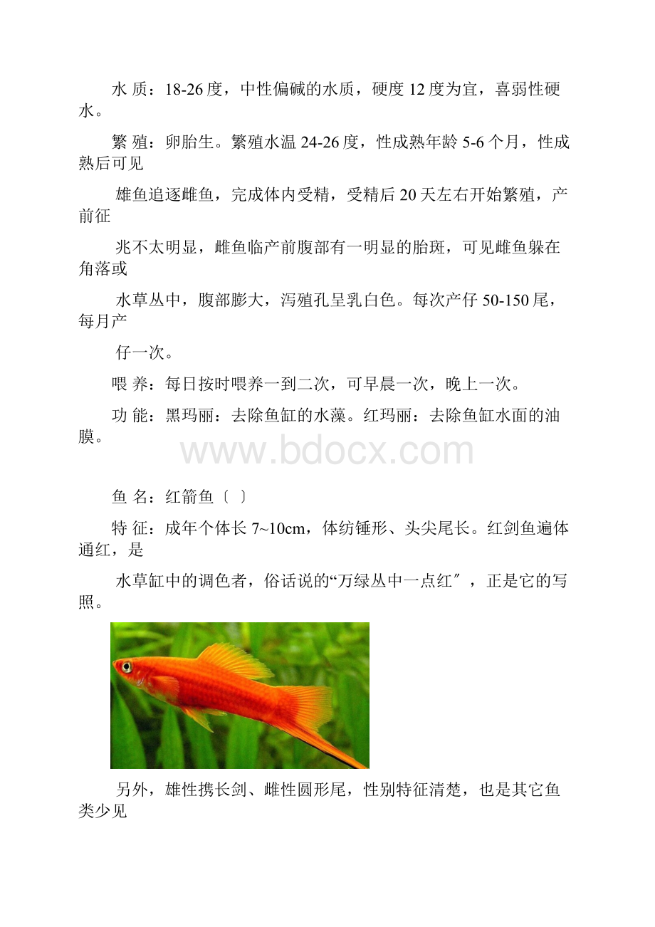 常见宠物鱼特性一览表.docx_第2页