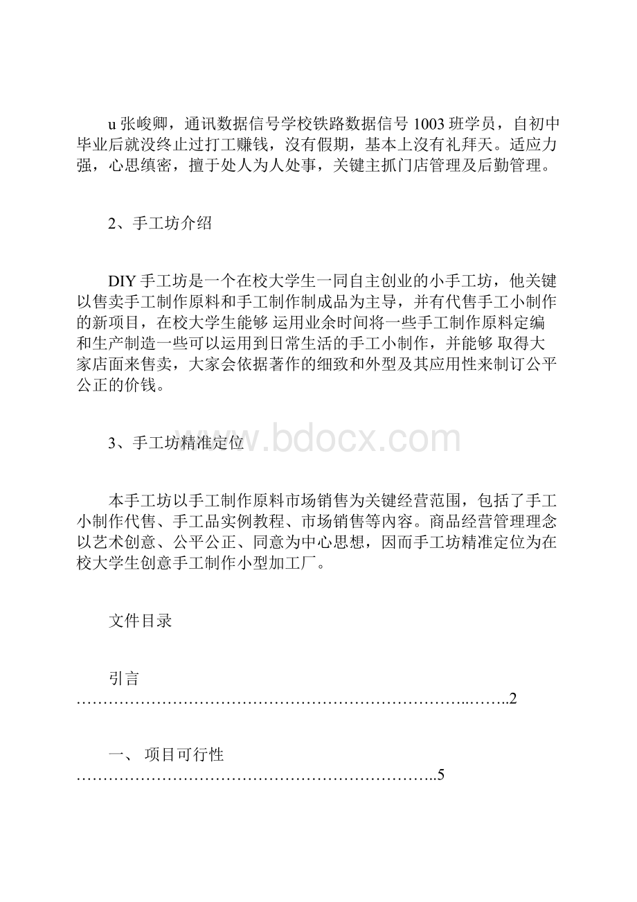 DIY商业计划书.docx_第2页