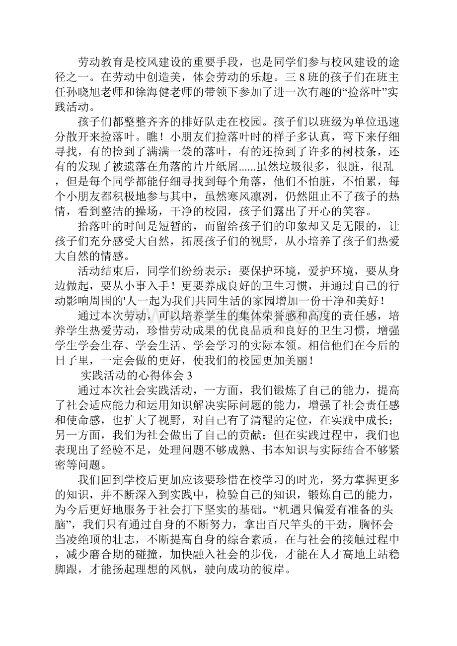 实践活动的心得体会5篇.docx_第2页