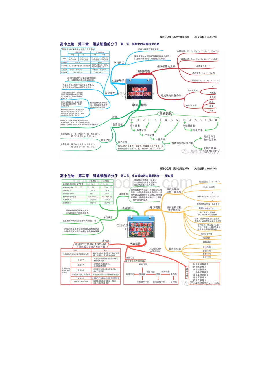 完整版高中生物思维导图全册.docx_第2页