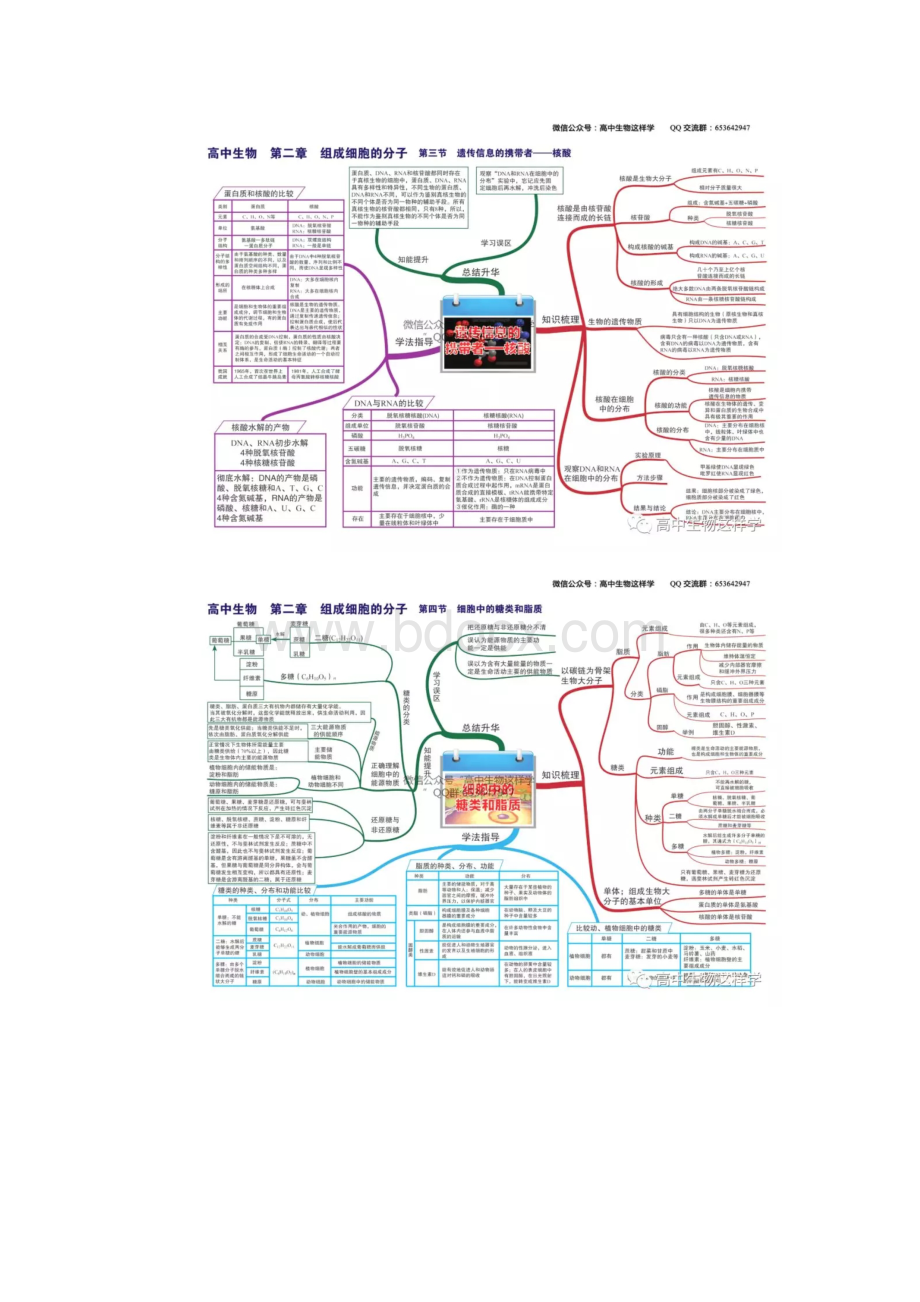 完整版高中生物思维导图全册.docx_第3页