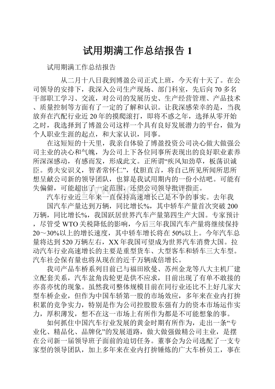 试用期满工作总结报告1.docx