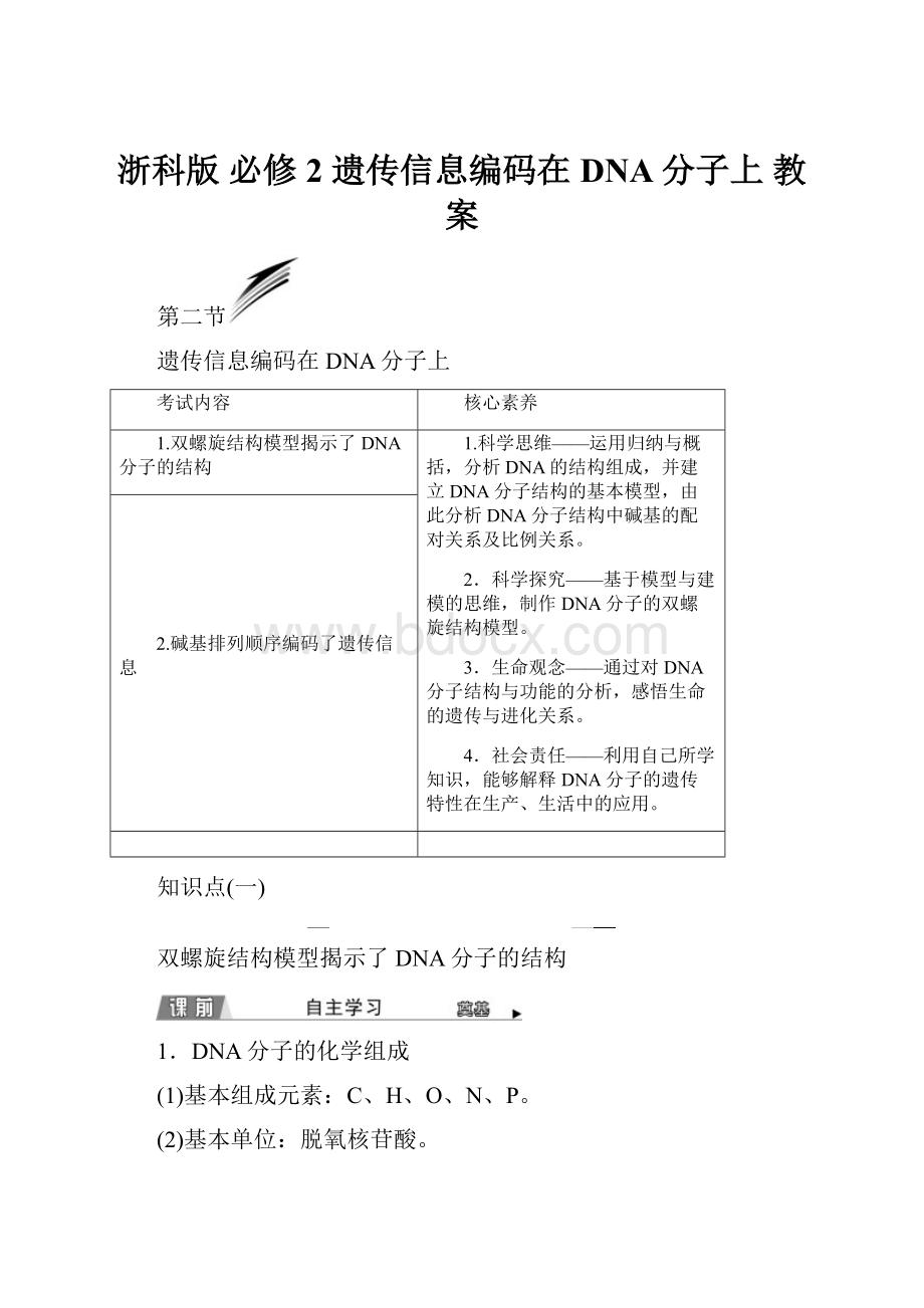 浙科版 必修2遗传信息编码在DNA分子上 教案.docx