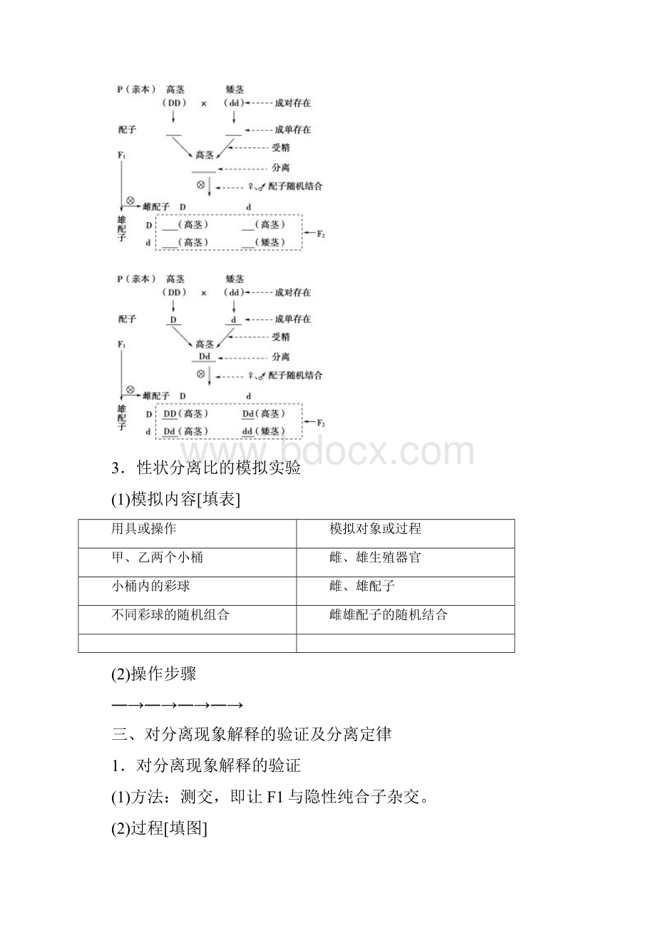 学年人教版必修2第1章 第1节 孟德尔的豌豆杂交实验一 学案.docx_第3页