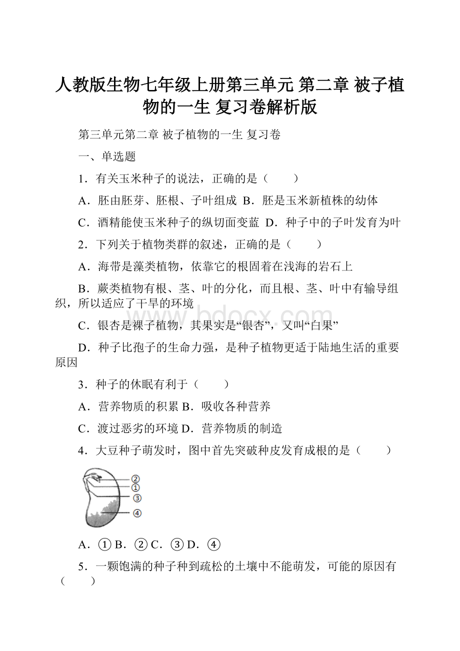 人教版生物七年级上册第三单元 第二章 被子植物的一生 复习卷解析版.docx_第1页