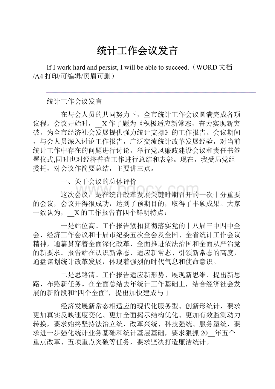 统计工作会议发言.docx_第1页