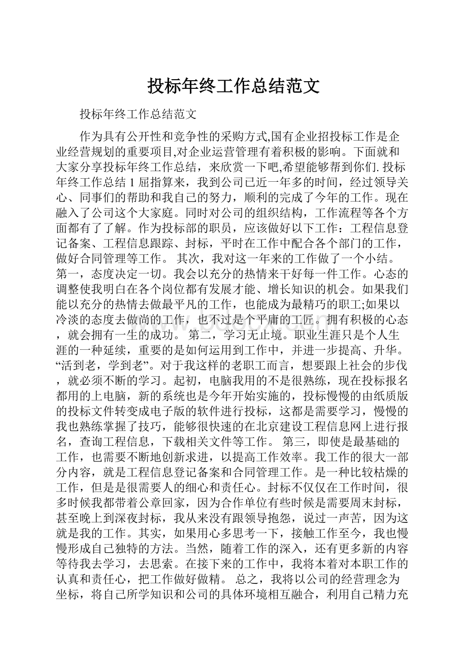 投标年终工作总结范文.docx