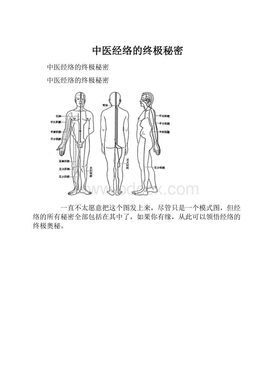 中医经络的终极秘密.docx_第1页