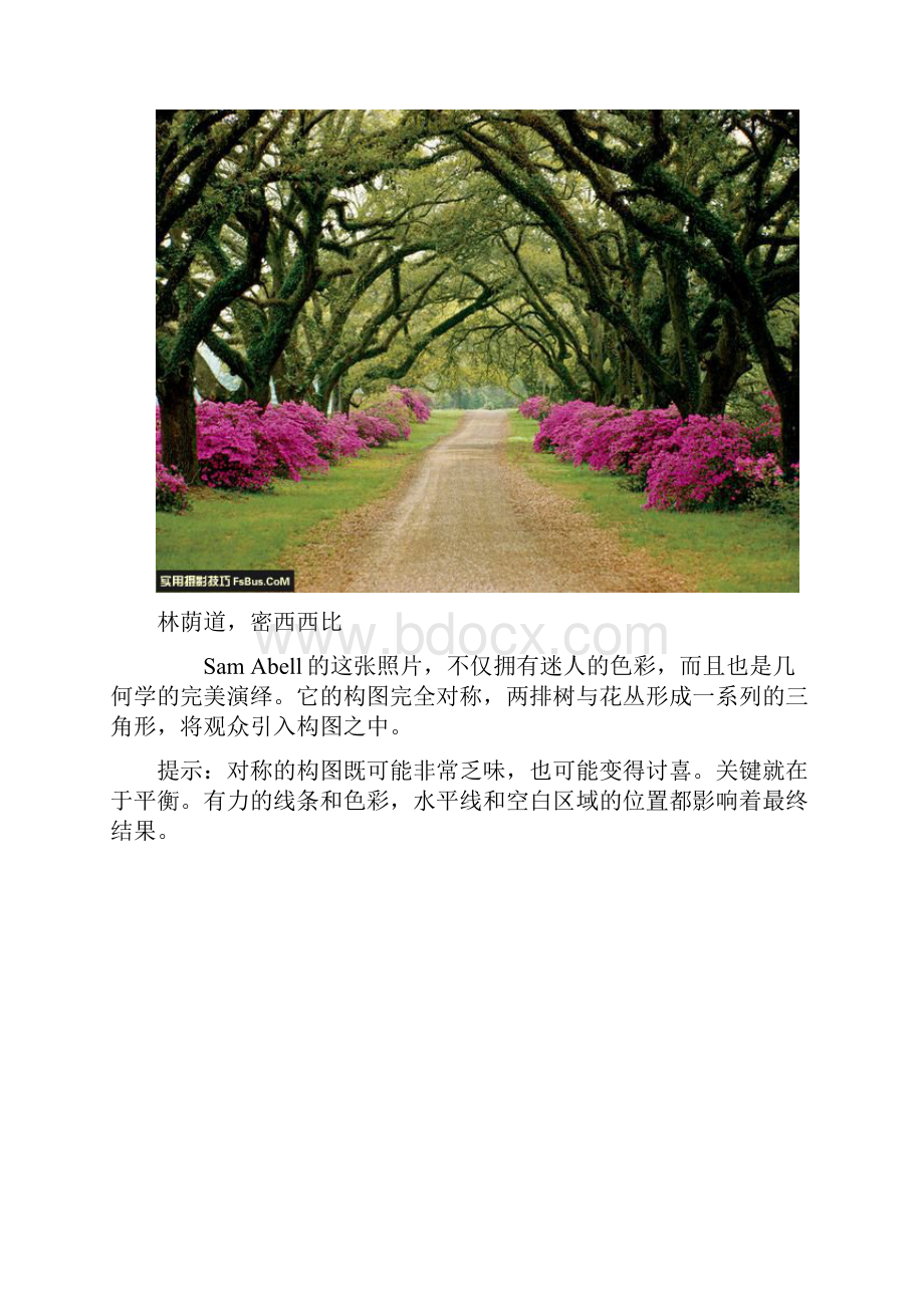 掌握构图拍出经典照片的技巧.docx_第2页