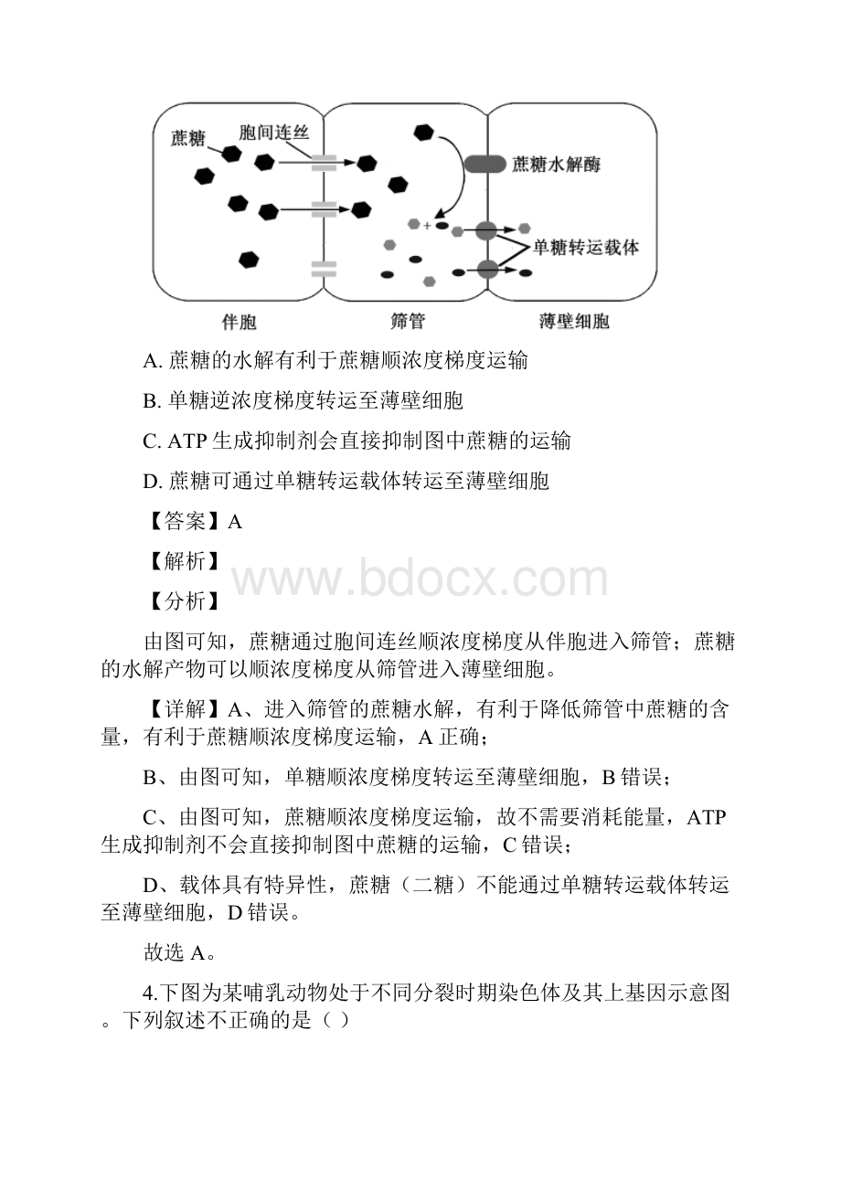 北京海淀区学年高三下学期期中练习模拟一生物试题解析版.docx_第3页