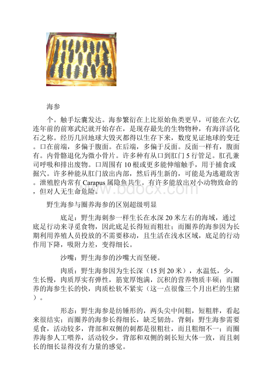 海参煲汤的家常做法.docx_第3页