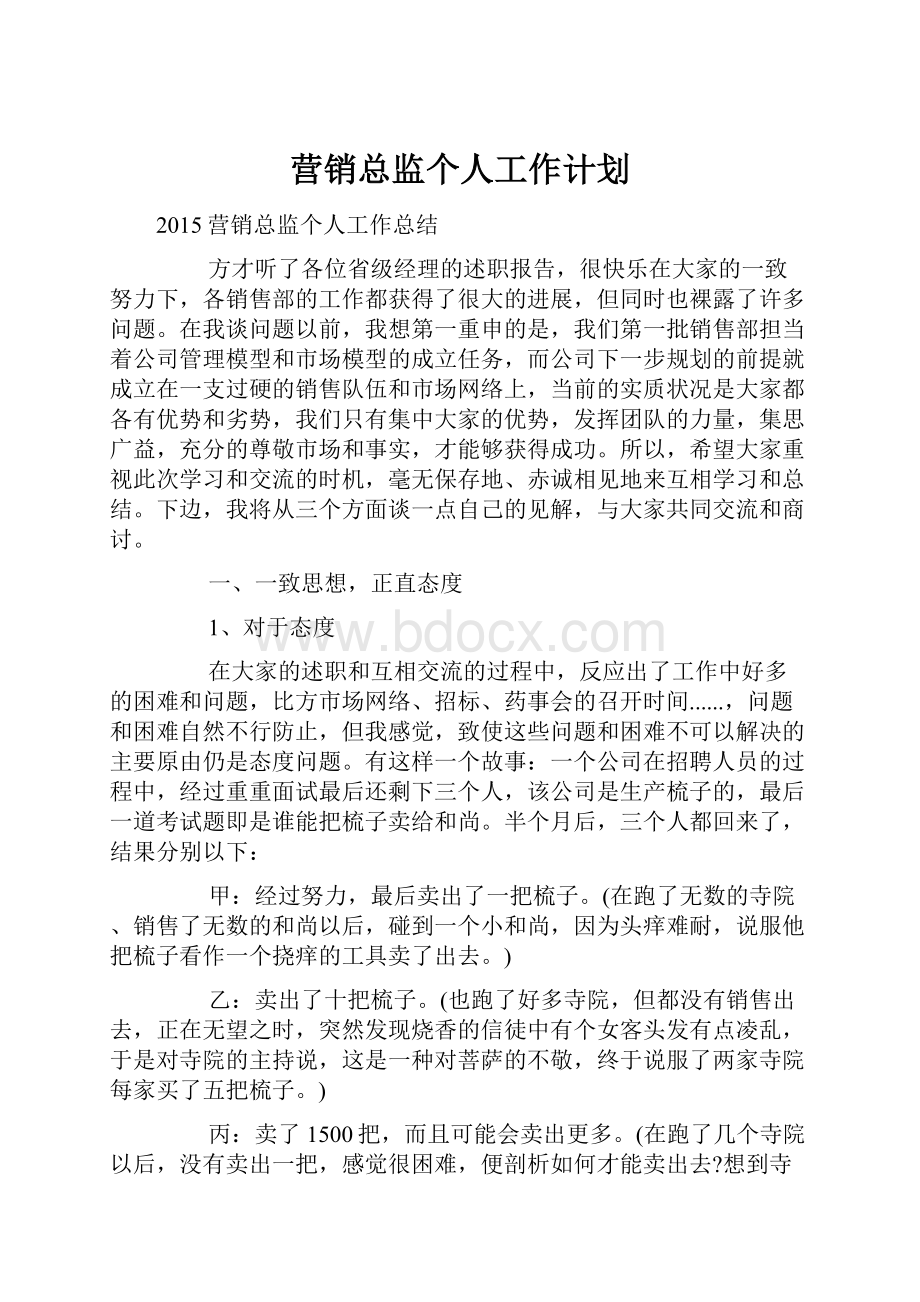 营销总监个人工作计划.docx_第1页