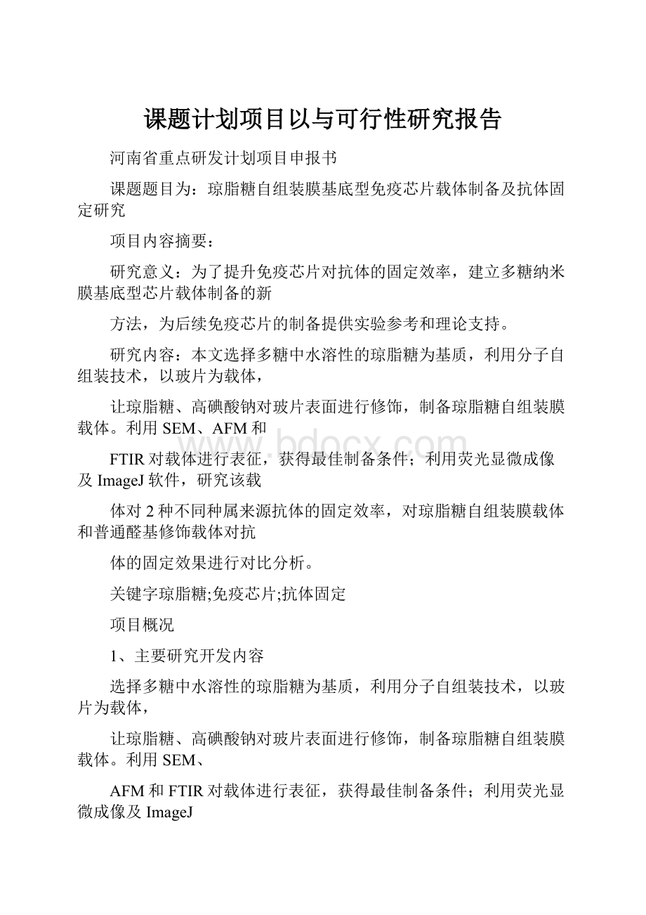 课题计划项目以与可行性研究报告.docx