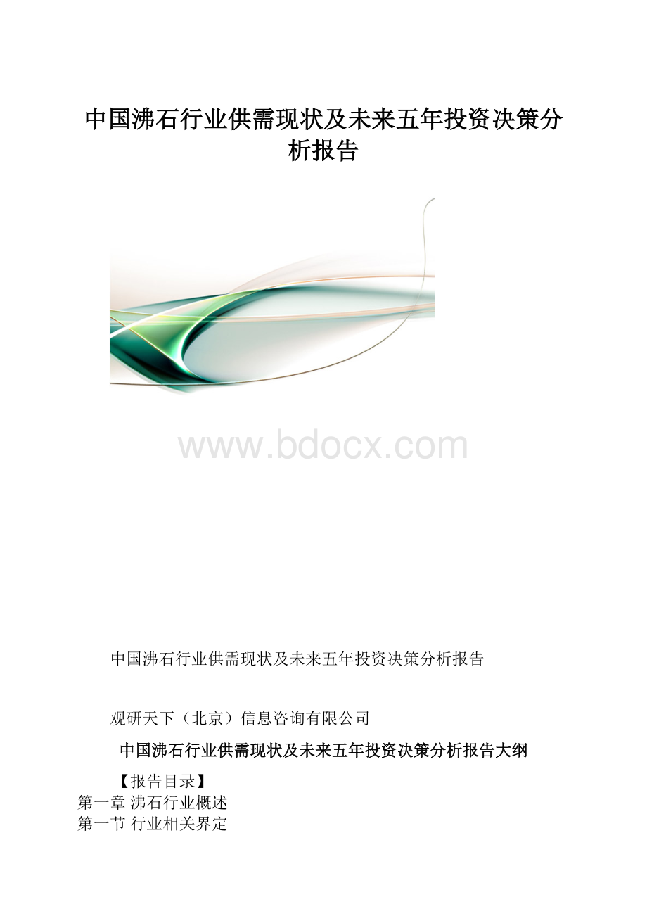 中国沸石行业供需现状及未来五年投资决策分析报告.docx