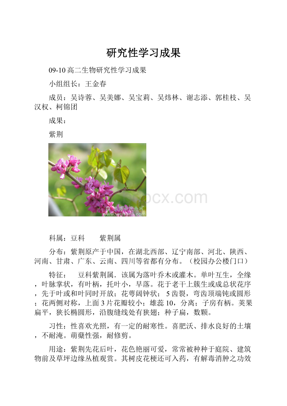 研究性学习成果.docx_第1页