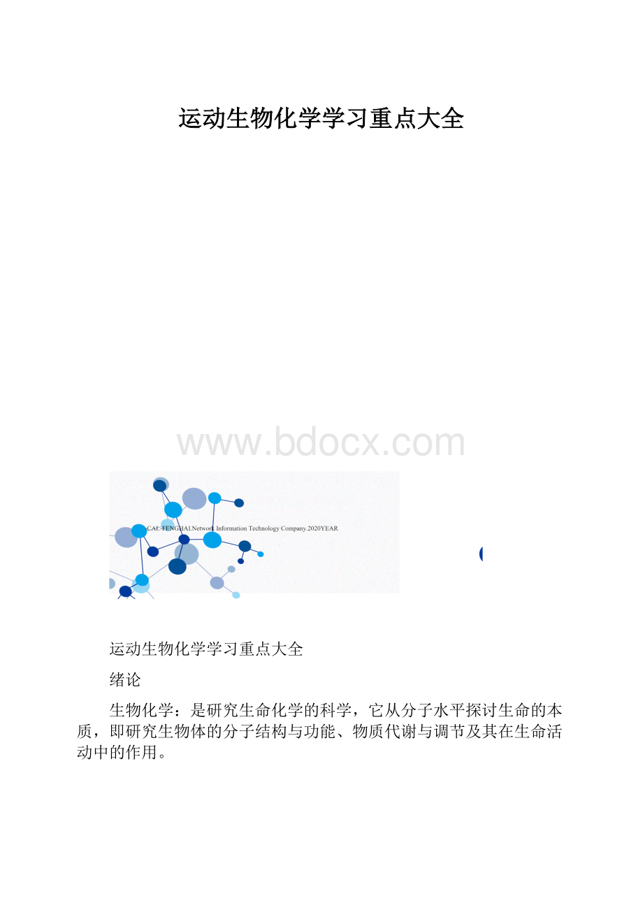 运动生物化学学习重点大全.docx_第1页