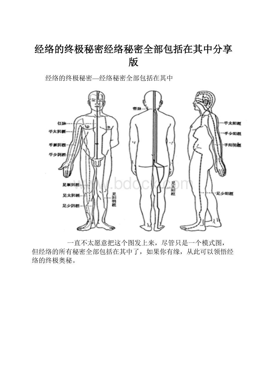 经络的终极秘密经络秘密全部包括在其中分享版.docx_第1页