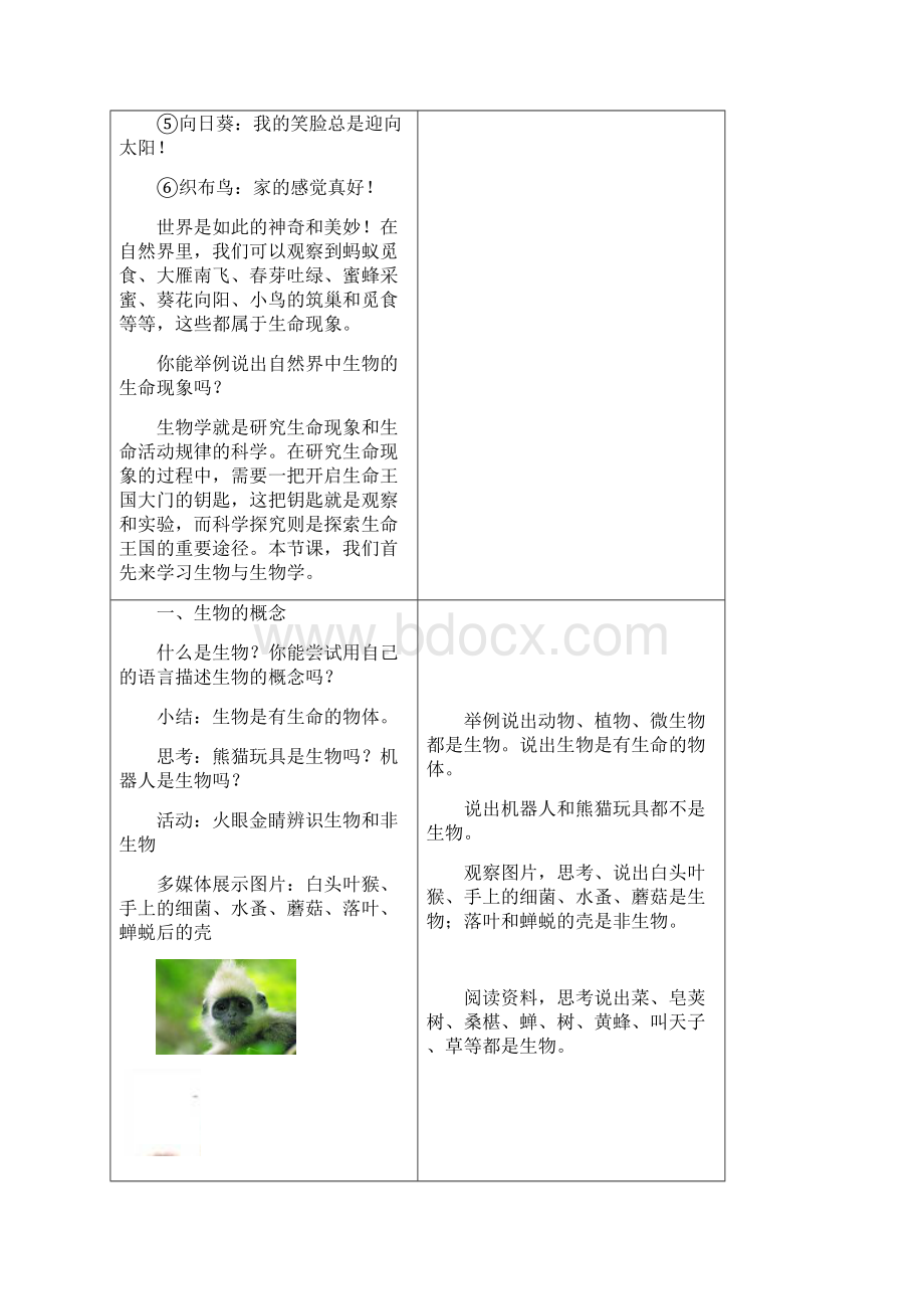 111 生物与生物学 教案 2.docx_第3页