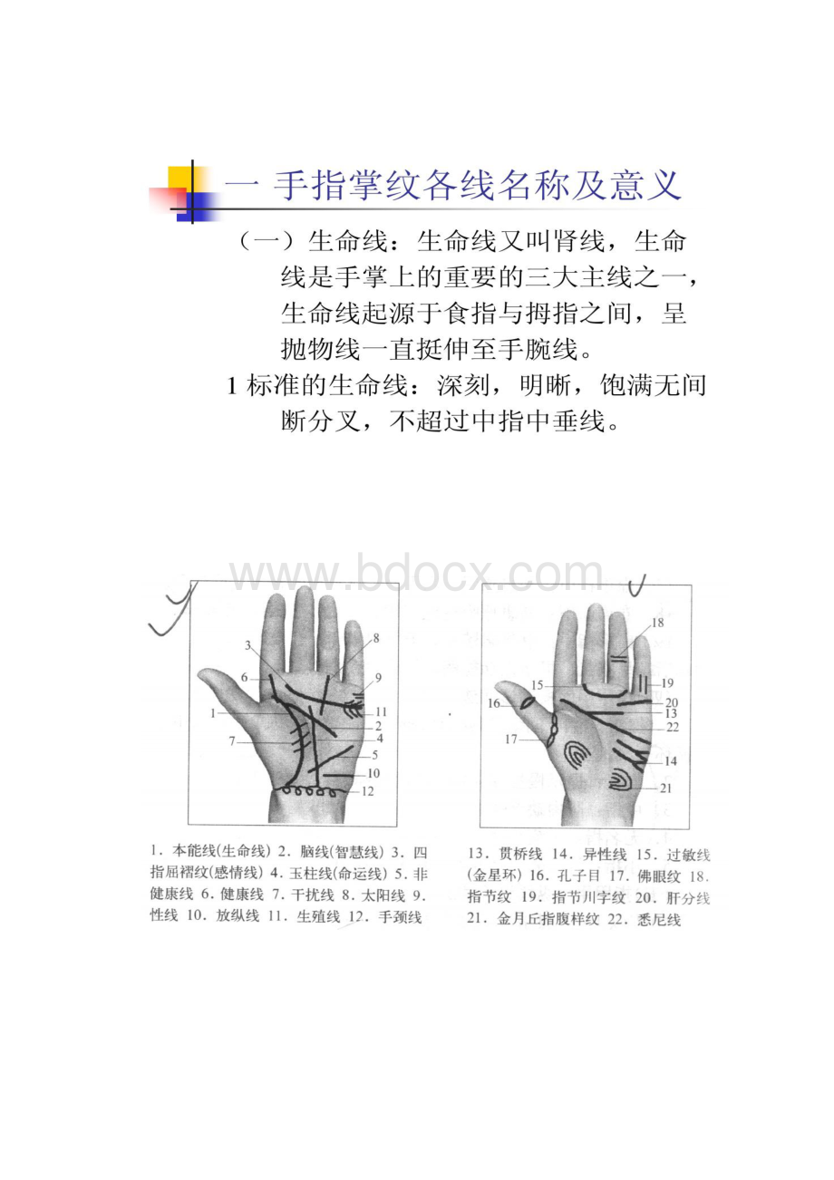 中医美容系课程手诊精.docx_第2页