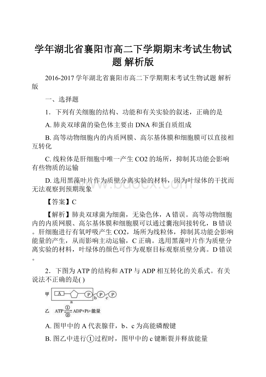 学年湖北省襄阳市高二下学期期末考试生物试题 解析版.docx_第1页