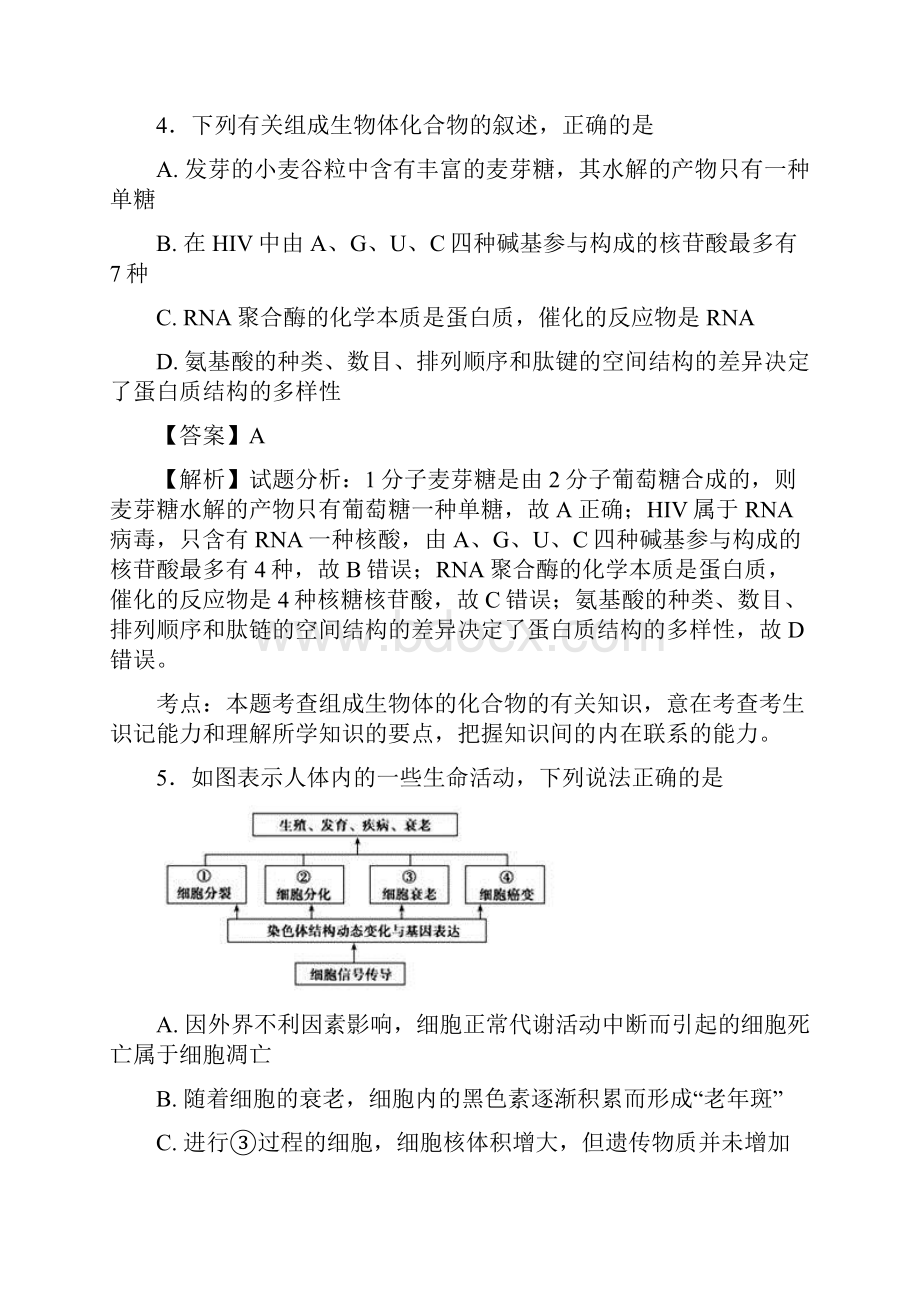 学年湖北省襄阳市高二下学期期末考试生物试题 解析版.docx_第3页