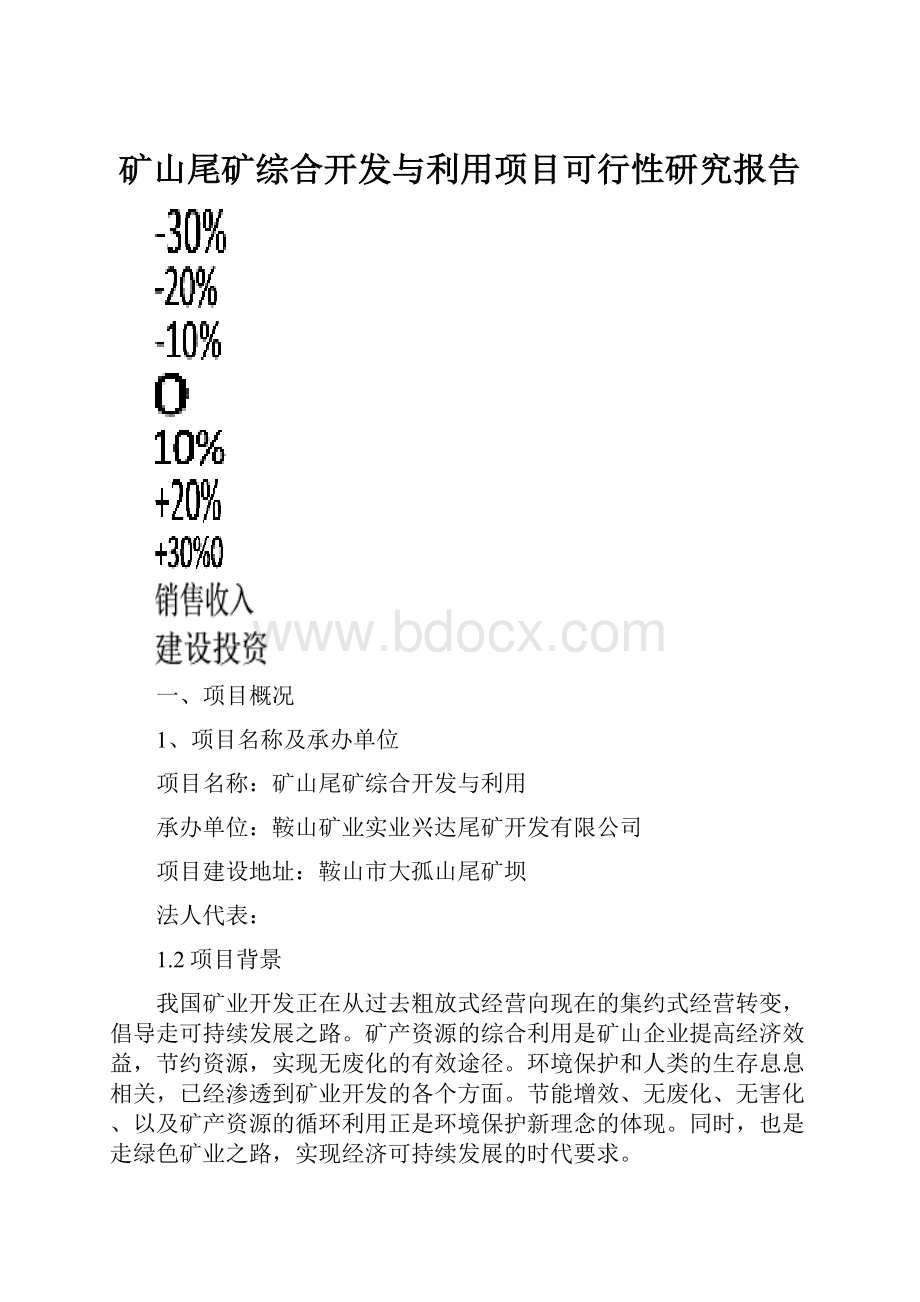 矿山尾矿综合开发与利用项目可行性研究报告.docx_第1页