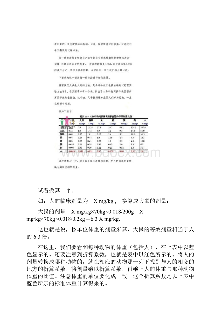 人与动物之间的给药剂量换算.docx_第3页