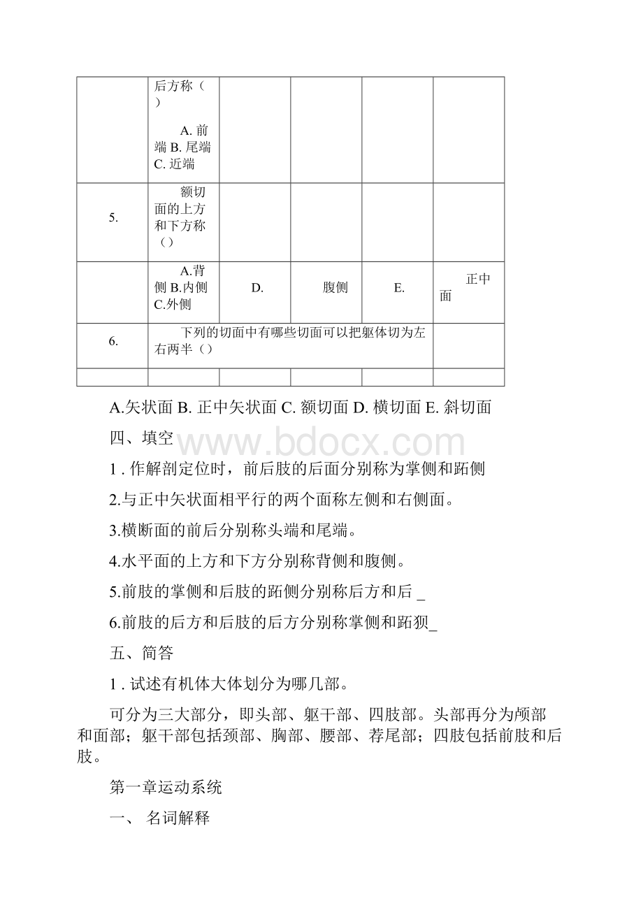 家畜解剖学练习题答案.docx_第3页