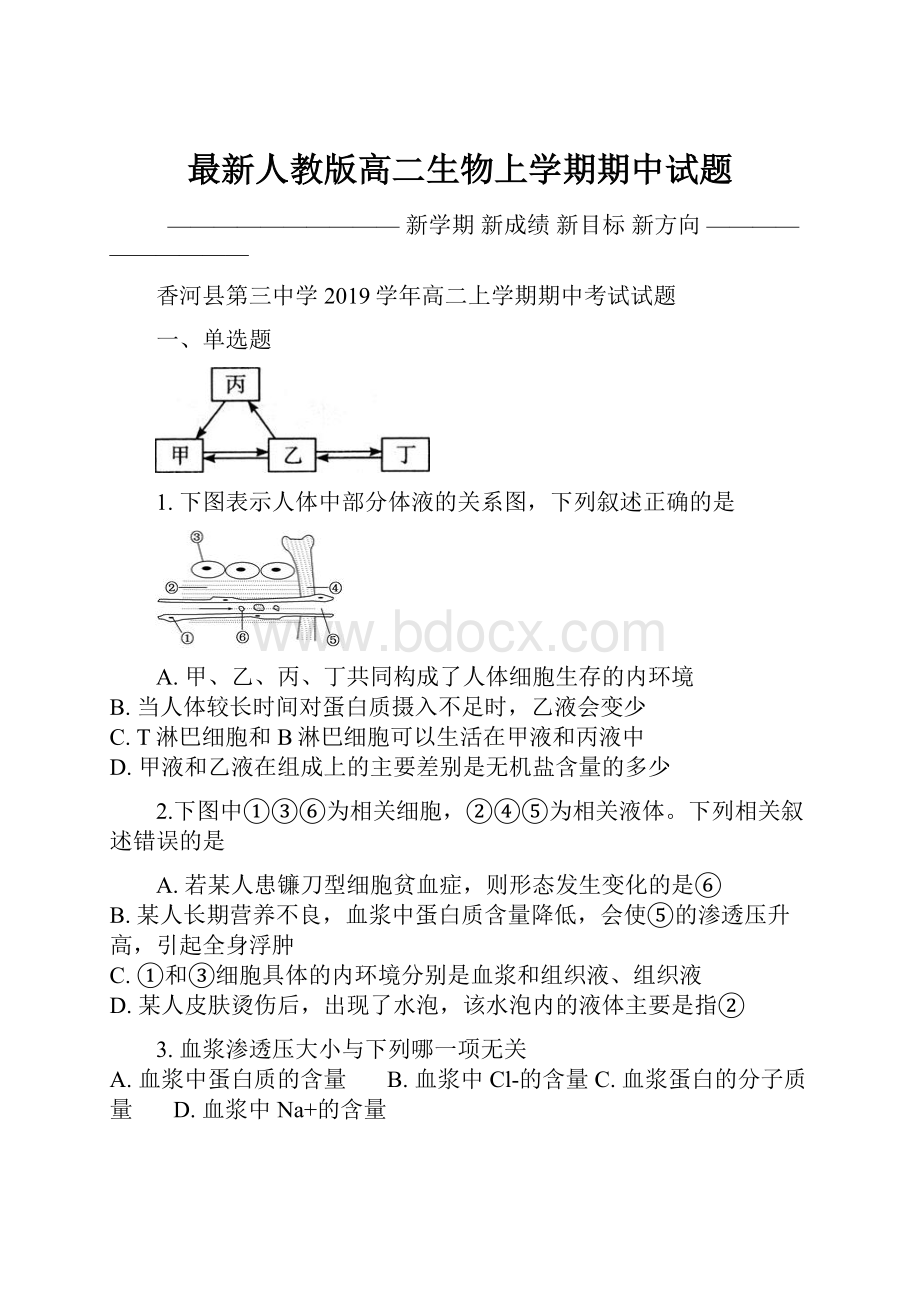 最新人教版高二生物上学期期中试题.docx_第1页