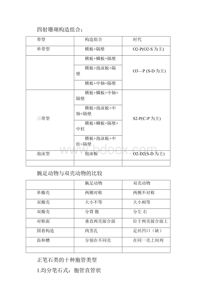 古生物地层学.docx_第3页