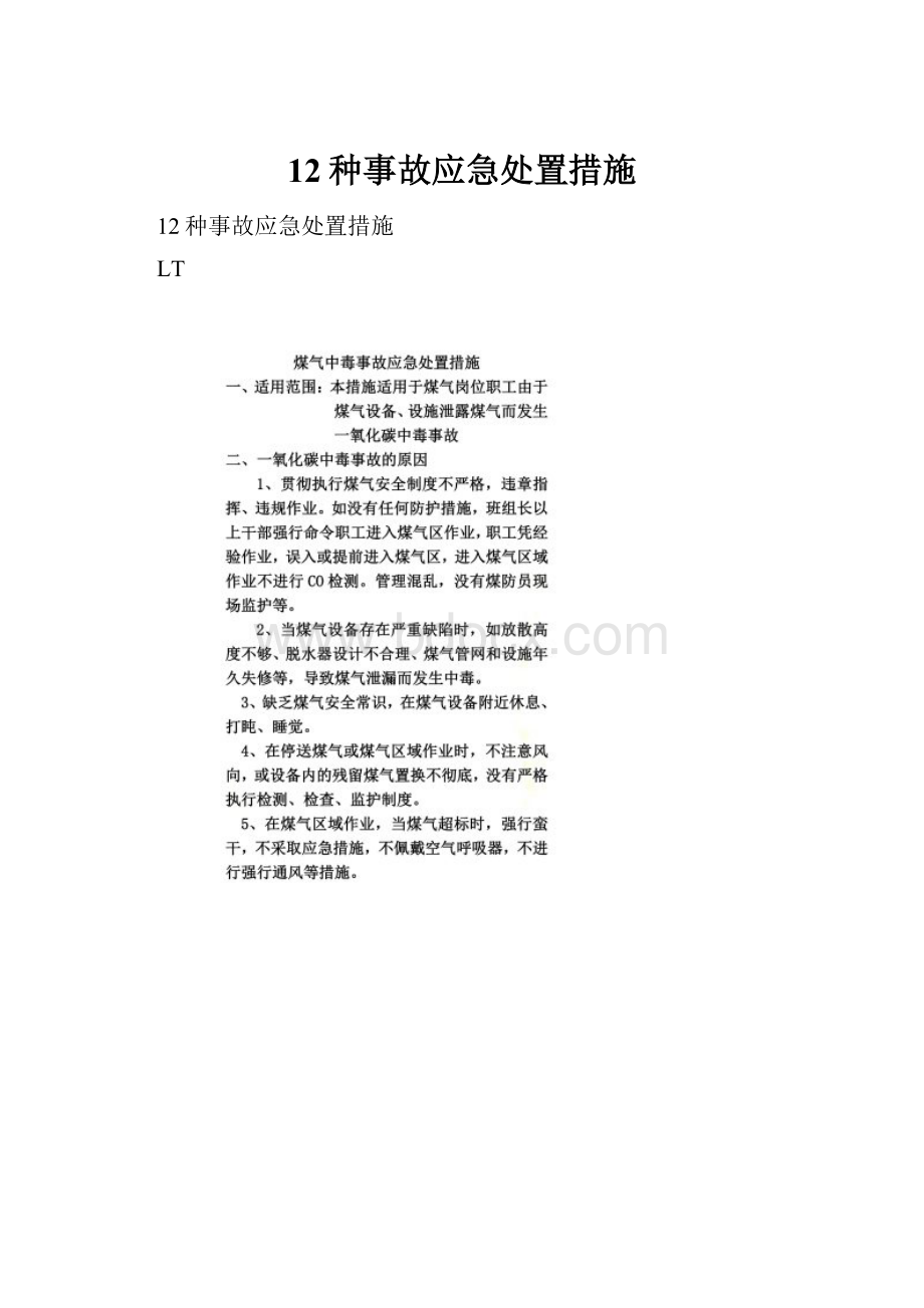 12种事故应急处置措施.docx