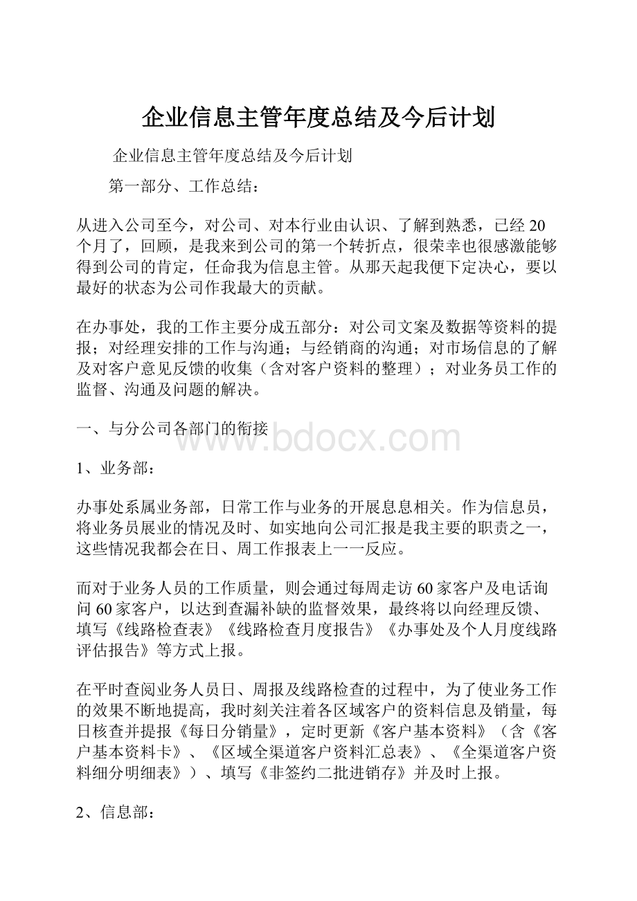 企业信息主管年度总结及今后计划.docx