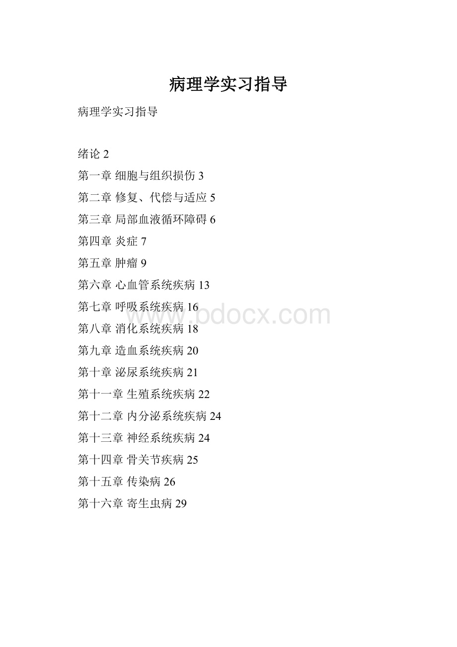 病理学实习指导.docx