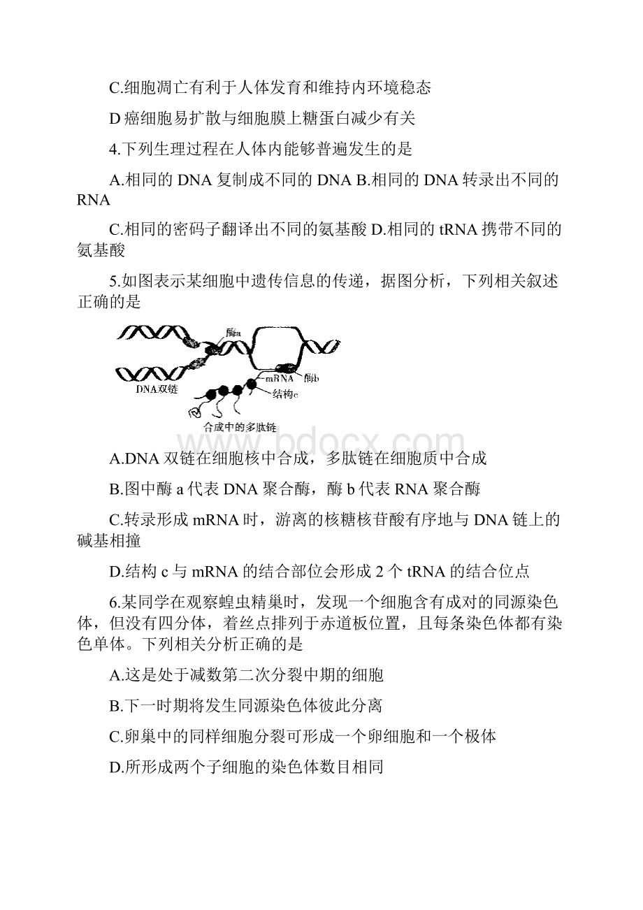 安徽省淮北市濉溪县学年高三联考第三次月考生物试题 Word版含答案.docx_第2页