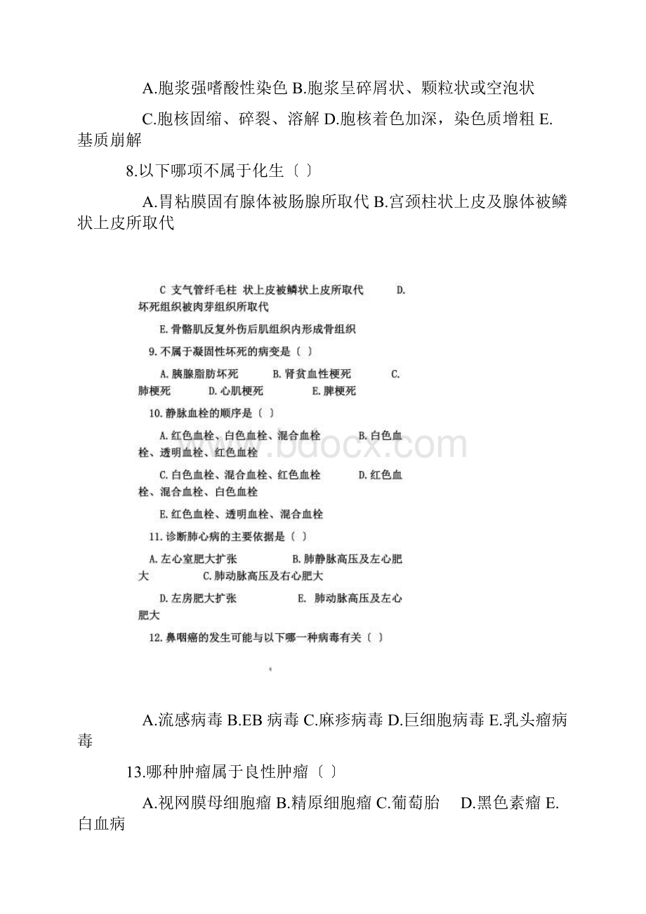 河南专升本生理病理学模拟试题.docx_第2页