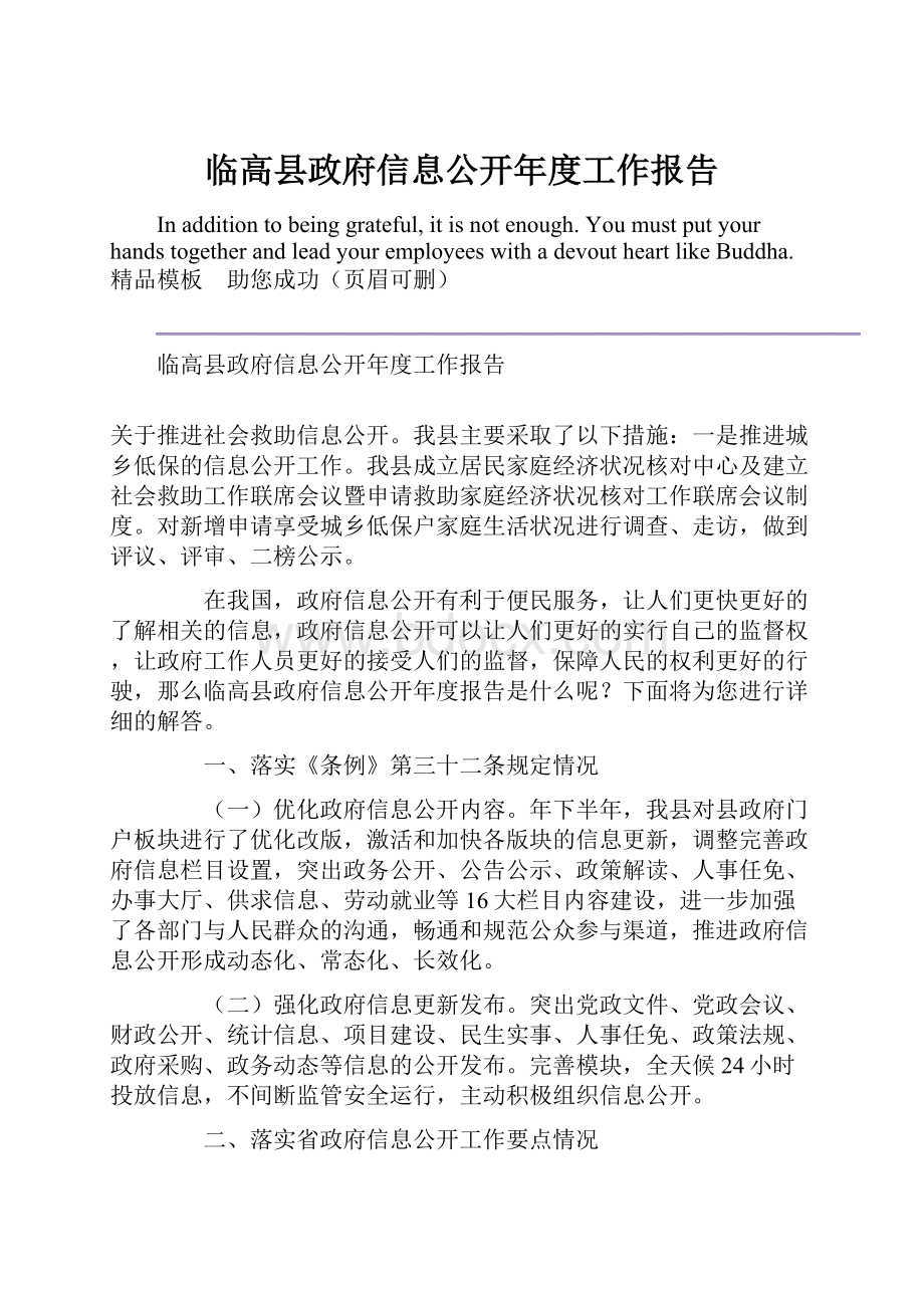 临高县政府信息公开年度工作报告.docx