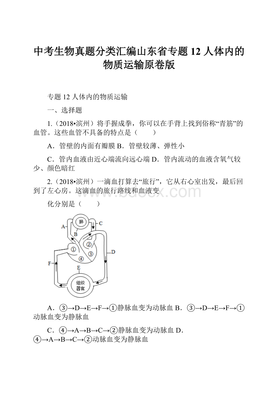 中考生物真题分类汇编山东省专题12 人体内的物质运输原卷版.docx_第1页