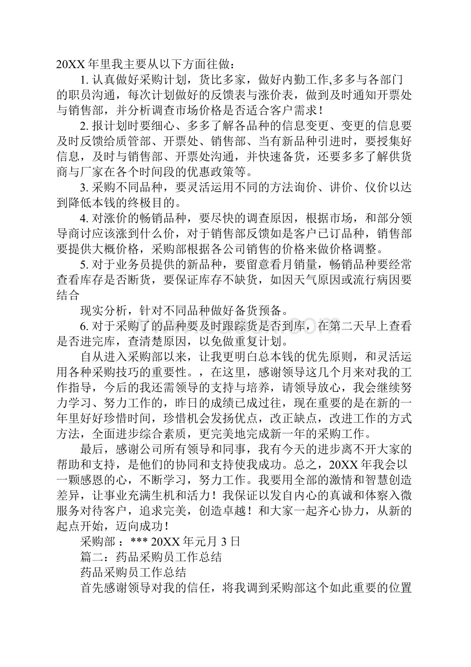 医药采购员年终总结.docx_第2页