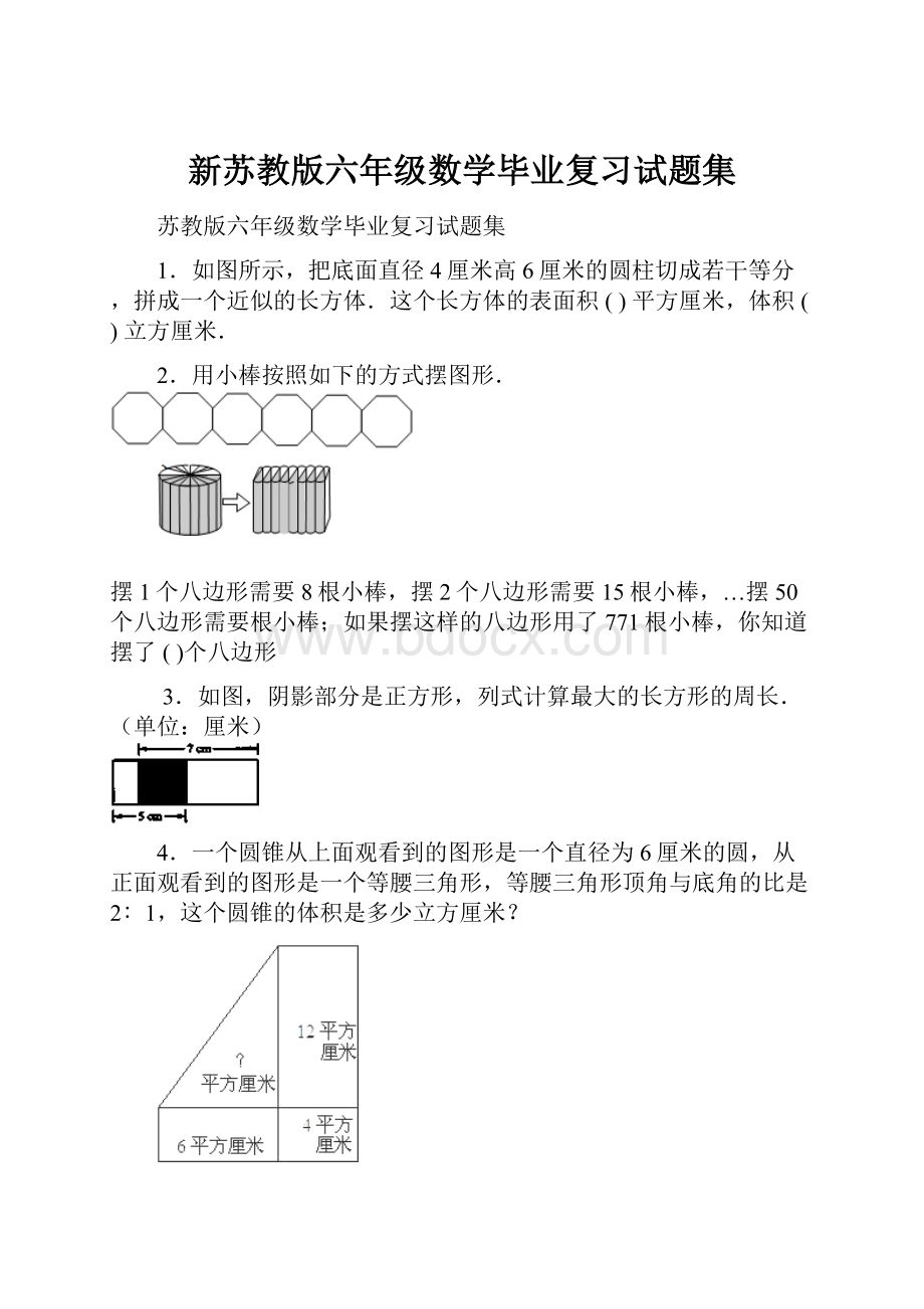 新苏教版六年级数学毕业复习试题集.docx_第1页