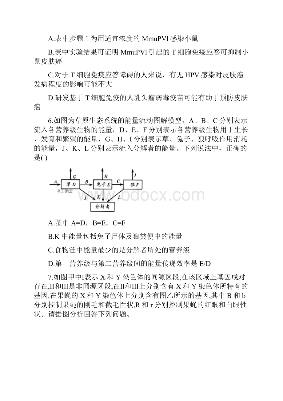 届高考生物模拟点睛卷全国卷二.docx_第3页