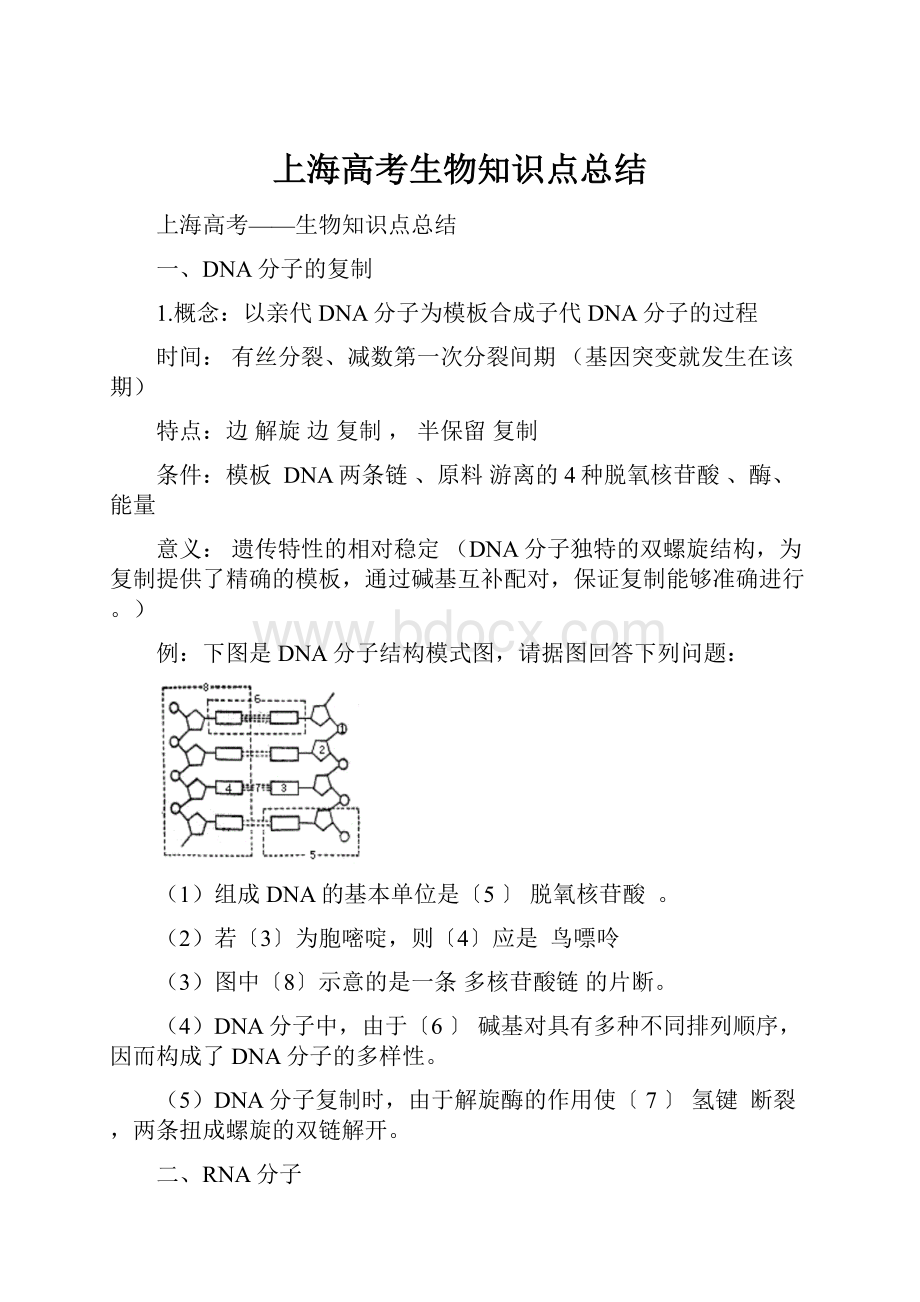 上海高考生物知识点总结.docx