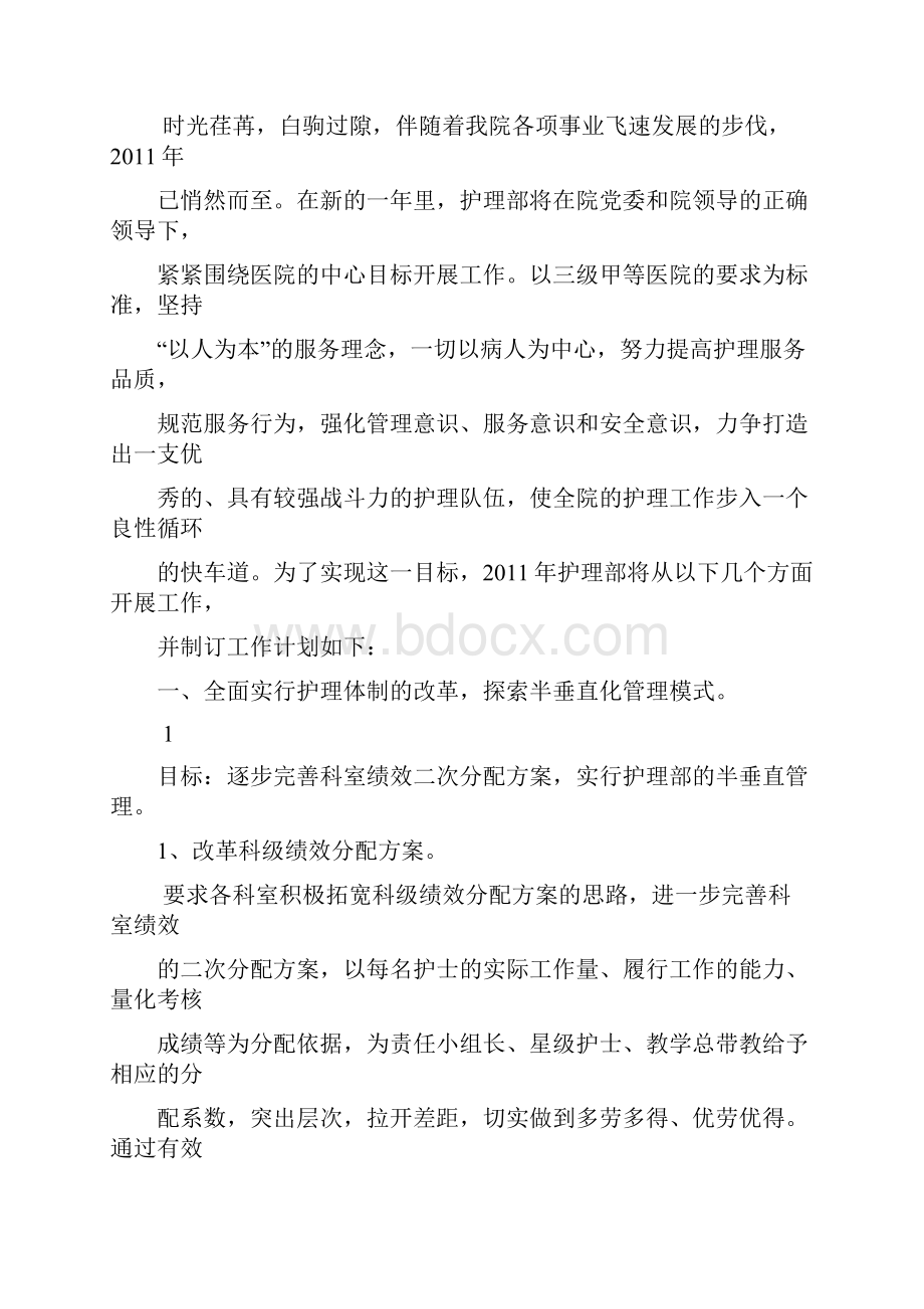 护理部工作计划与目标管理.docx_第2页