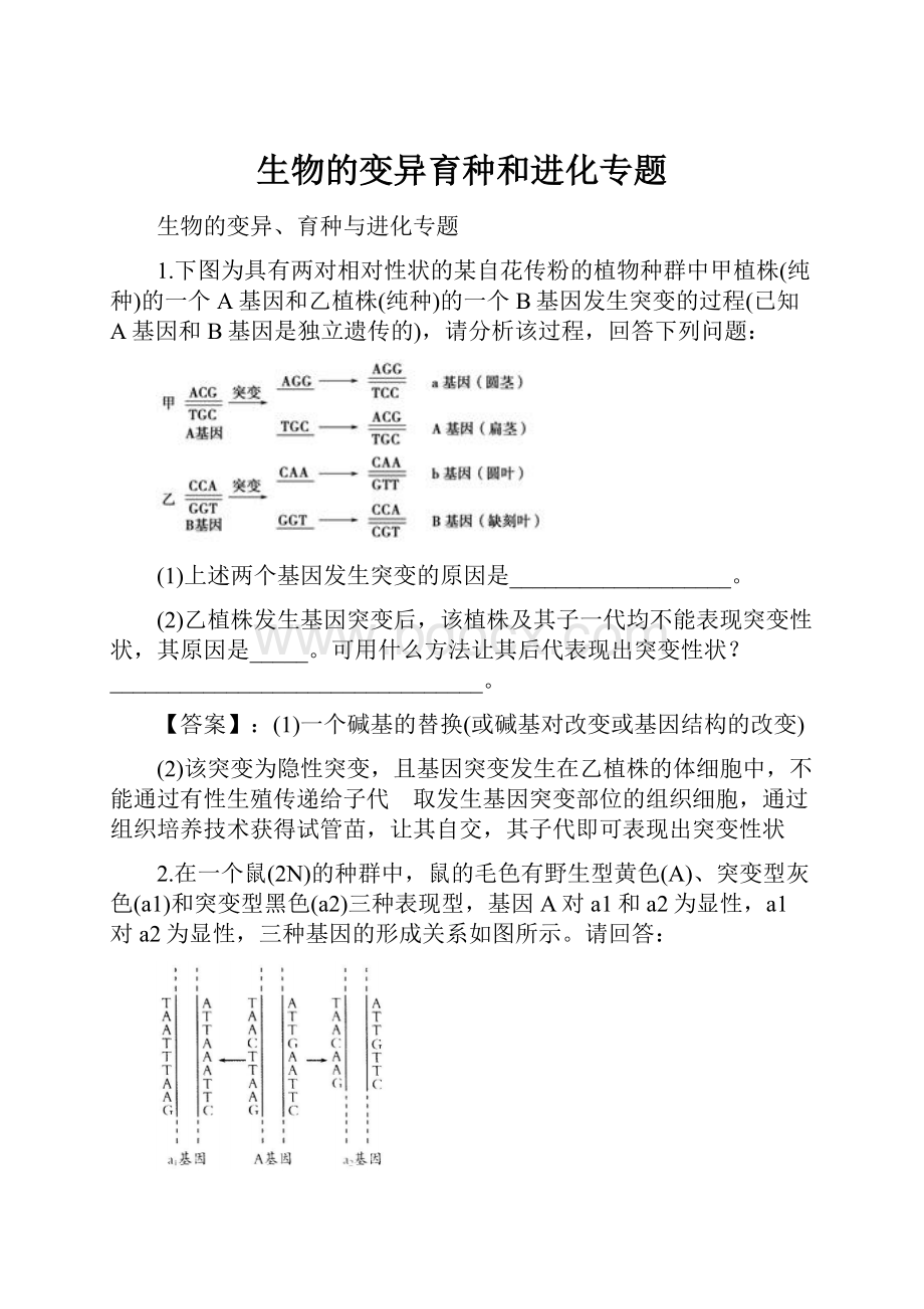 生物的变异育种和进化专题.docx_第1页