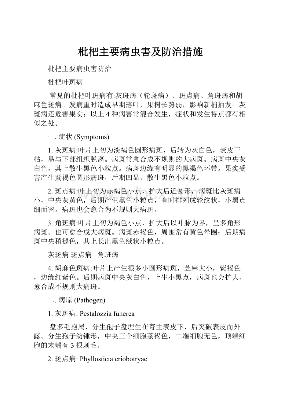 枇杷主要病虫害及防治措施.docx_第1页