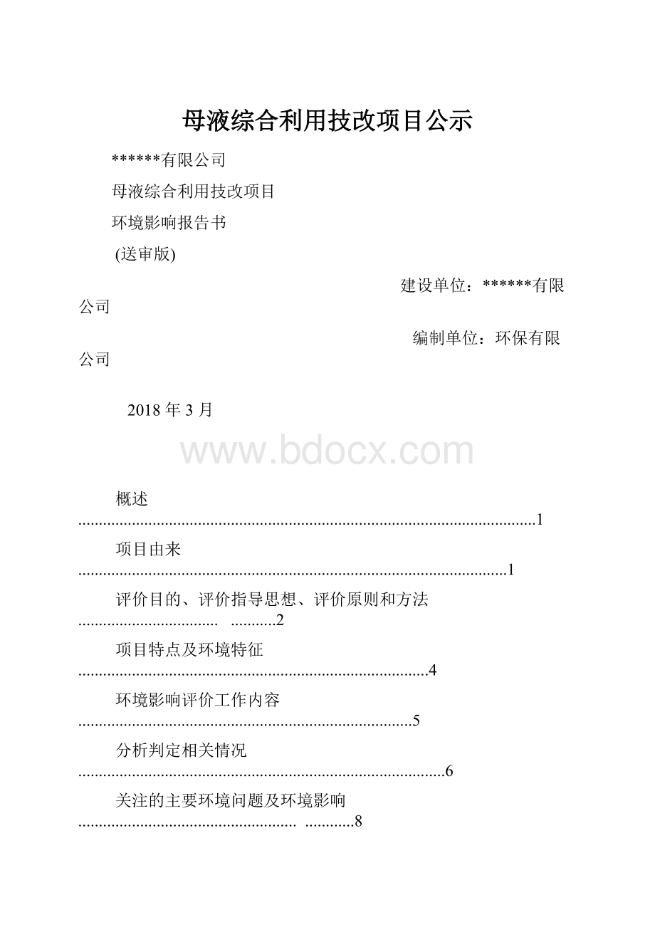 母液综合利用技改项目公示.docx_第1页