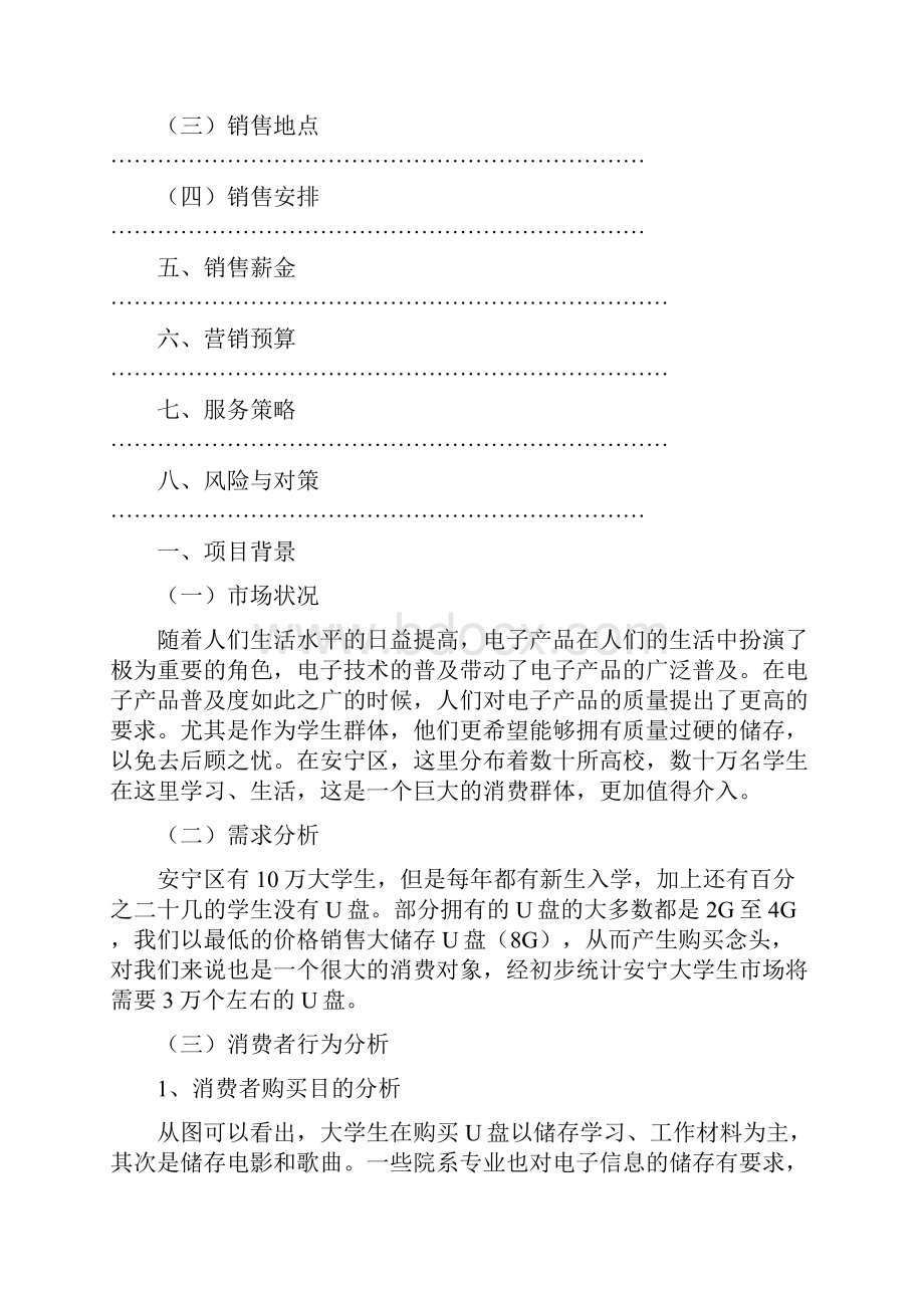 U盘营销策划书.docx_第3页