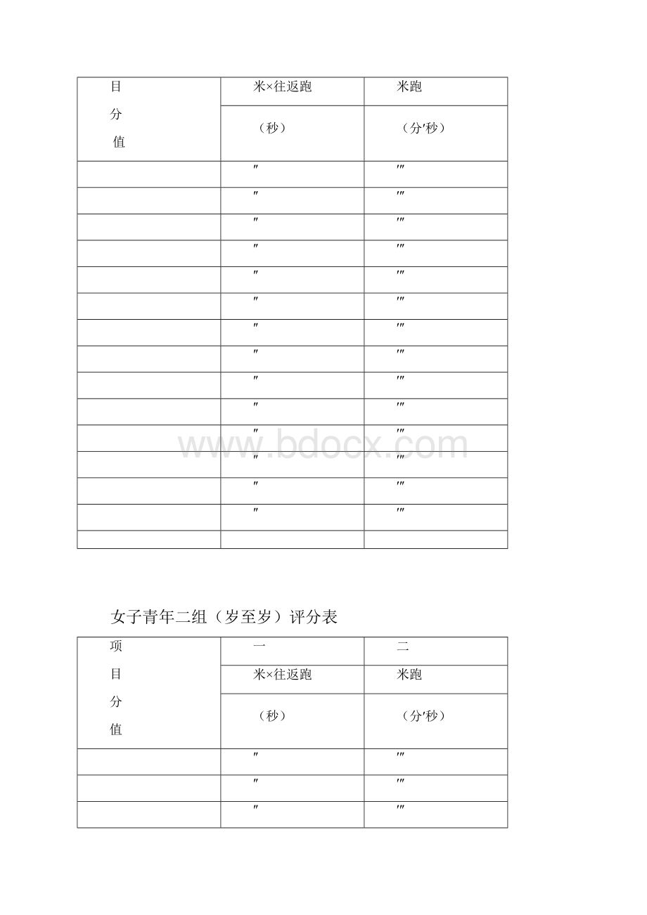 体能测试评分标准.docx_第2页