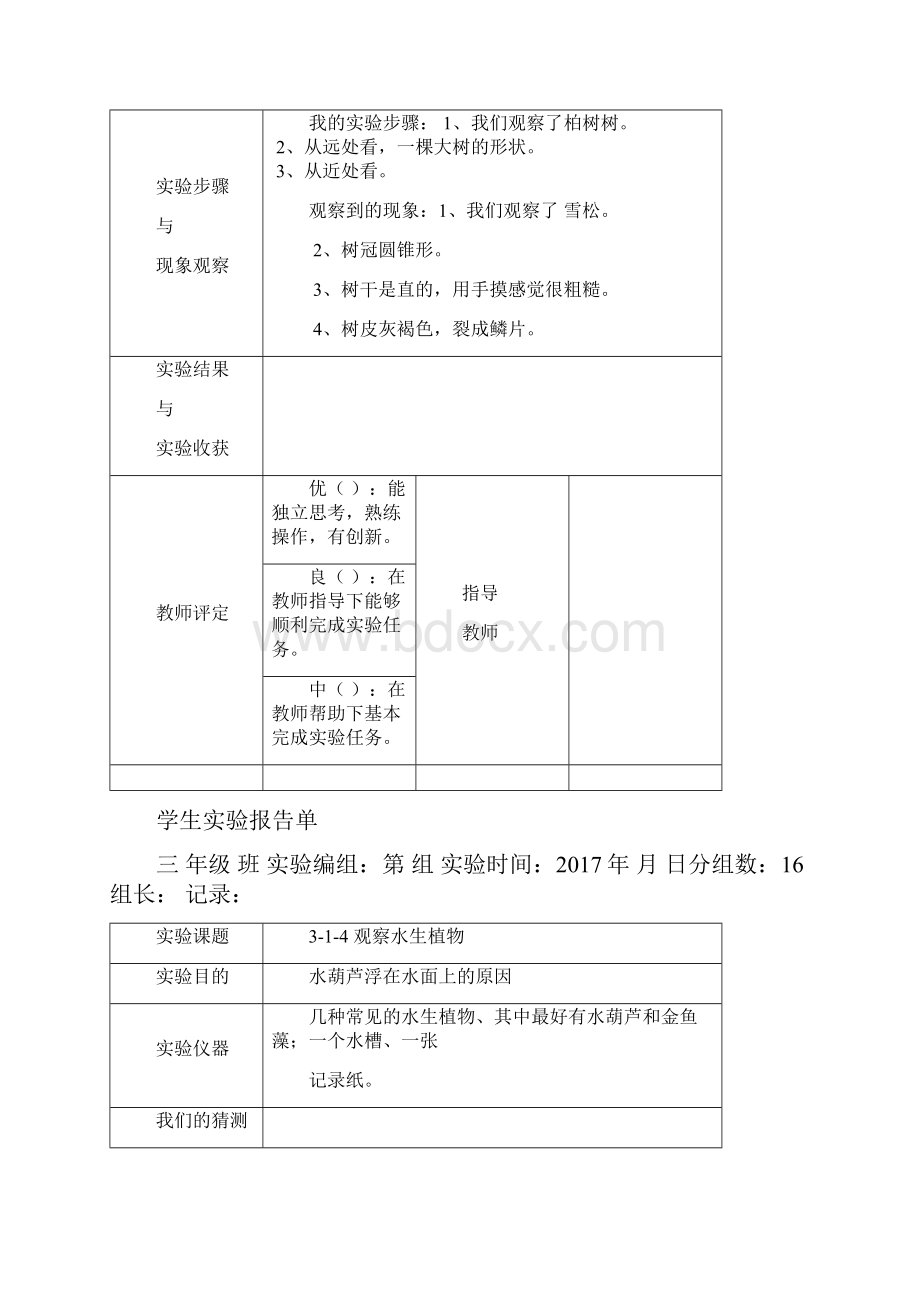 教科版三年级上册科学学生实验报告.docx_第2页