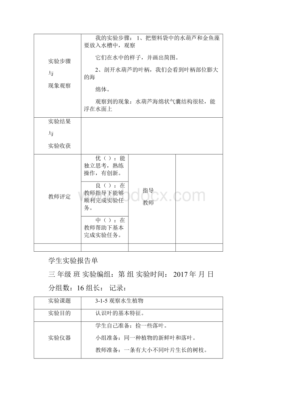 教科版三年级上册科学学生实验报告.docx_第3页