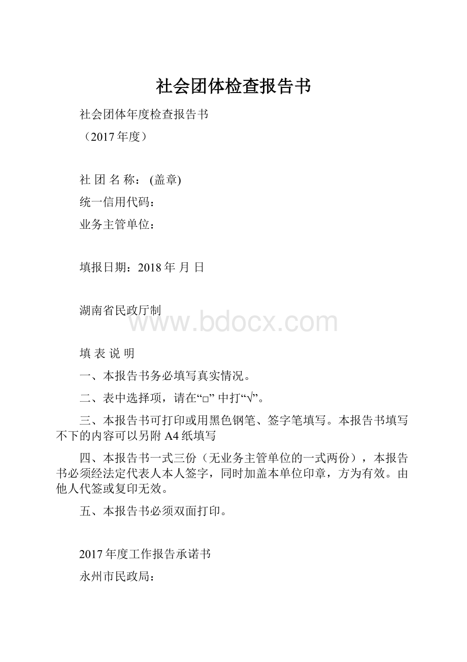 社会团体检查报告书.docx_第1页